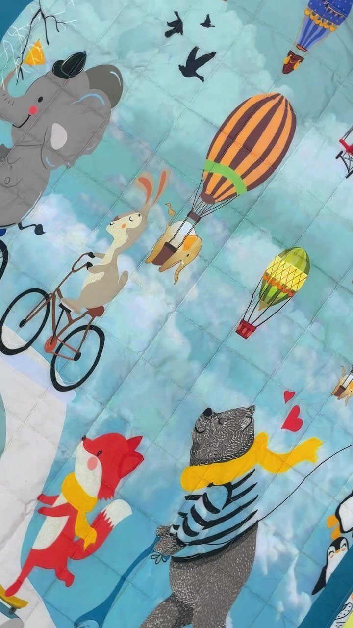 497810794 1245505583605392 6351929935436876022 n