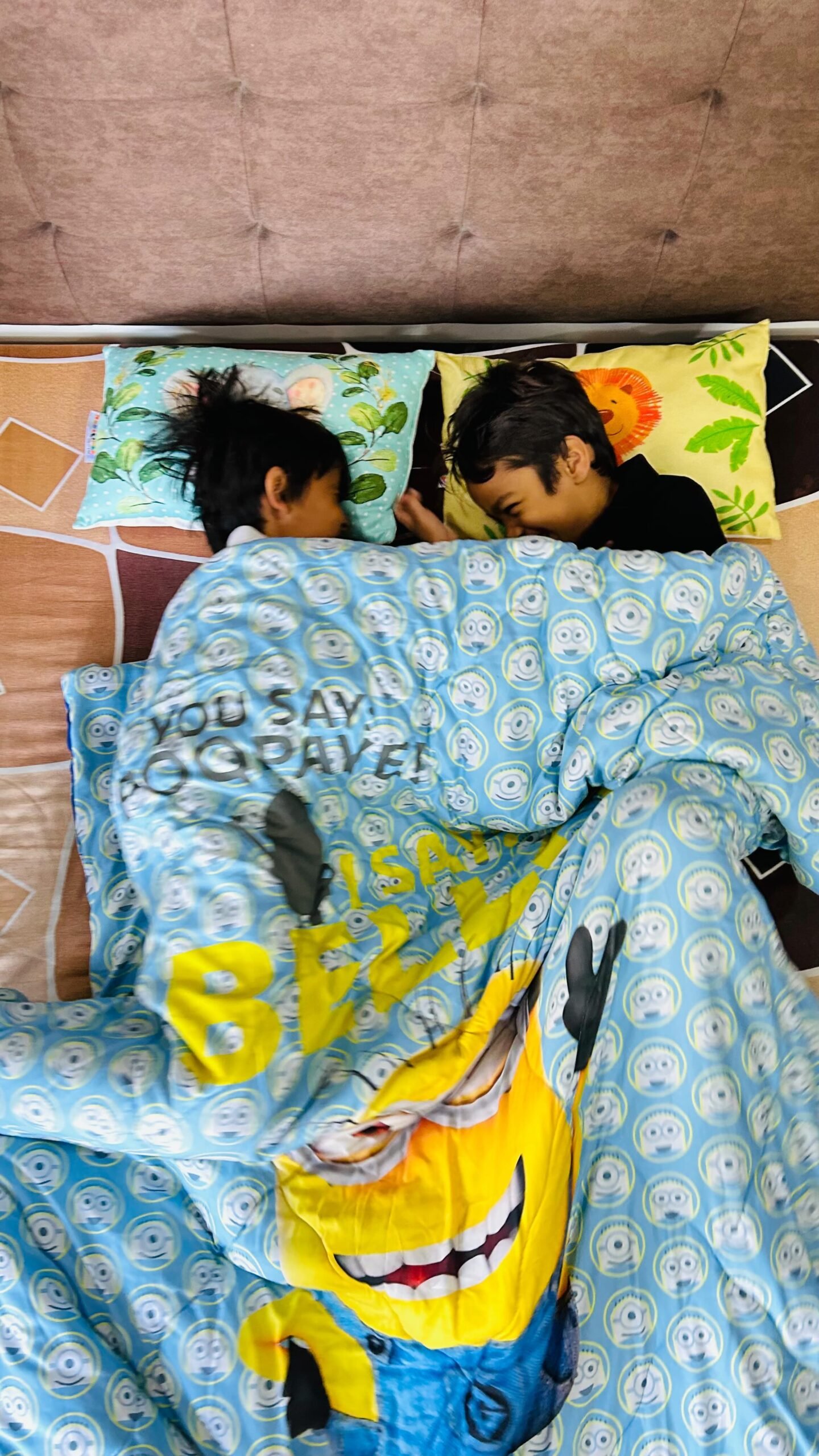 502712295 1131672858726516 19919888605893097 n scaled