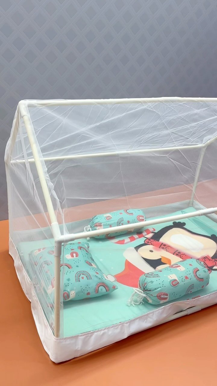 629335570 1228691906127614 3949183489559569211 n