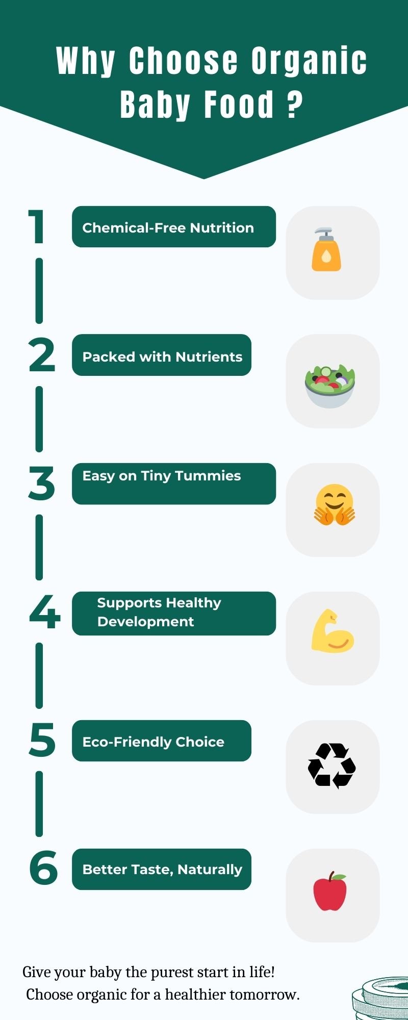 Green Lined Budget Planning Process Infographic