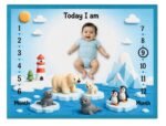 Sky Blue Multi Usage Baby Milestone Mat Online