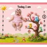Baby Pink Soft Bird Print Milestone Mat For Babies (With Round Frames)